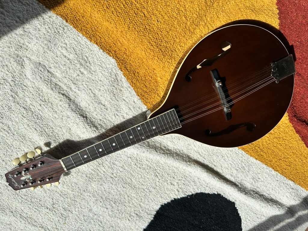 Picture 2 of 17
