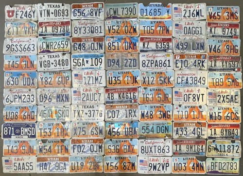 BULK LOT of 70 ROADKILL License Plates. FAST SHIPPING! Exact in Photo