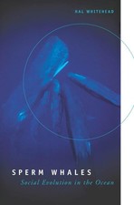 Sperm Whales: Social Evolution in the Ocean by Whitehead