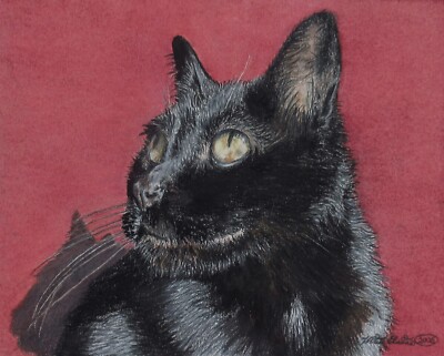 Original art, Black cat portrait, kitty, animals, realistic drawing, cats