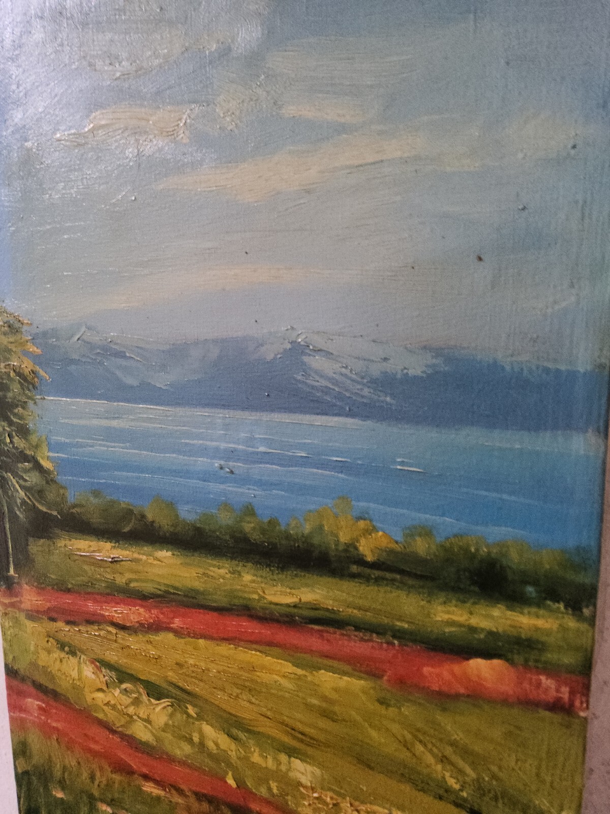 Picture 5 of 8