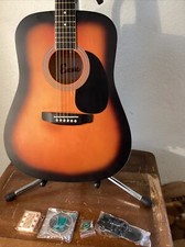 Acoustic Guitar Ewp 100 Sb [12 Price Damaged] 