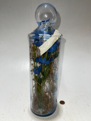 12” Clear Blue Glass Jar Glass Terrarium W/ Artificial Flowers - 第 1/3 張圖片
