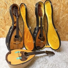 SUZUKI M-30 M-215 Mandolin Bulk Suzuki Suzuki