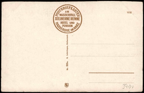 Ansichtskarte Wernigerode MB: Steinerne Renne Schloß Ilsefälle 1914 - Bild 3 von 3