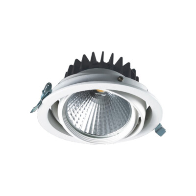 LED Einbauleuchte 30 Watt Leuchte Flood F  weiss PHILIPS LED + Treiber