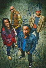 Living Colour Band Autogramme signed 20x30 cm Bild