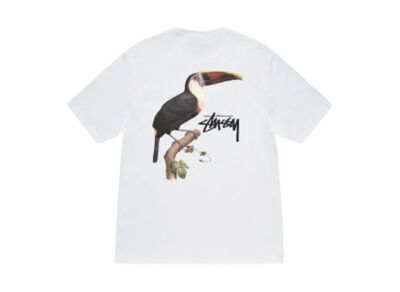 Stussy Toucan Tee Black Fog Ocean White 4colors Size S-XXL