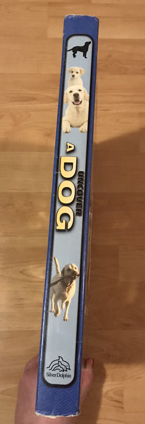 Picture 3 of 11
