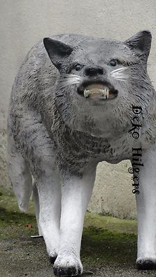 Science4you Wolf-Figur – Miniatur Aus Kunststoff, Lebensechtes Design (Größe M)