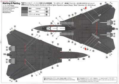 ハセガワ　F-14A TOMCAT WARDOG & RAZGRIZ 2機セット ハセガワ F-14A TOMCAT WARDOG & RAZGRIZ 2機セット ハセガワ F