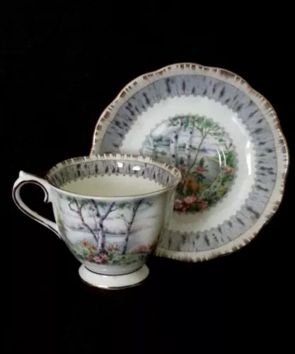 Vintage Royal Albert England bone china tea cup & saucer Silver Birch ca. 1960's