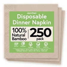 Jenvita Everyday 100 Bamboo Compostable Napkins Disposable 250-Pack Table ...