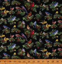 Cotton Birds Berries Animals Pines Holly Ivy Black Fabric Print by Yard D415.23
