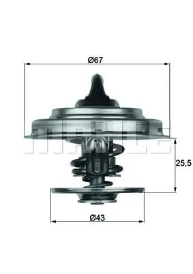 RIDEX 316T0203 Termostato motore Temp. apertura: 83°C, senza guarnizione - Immagine 5