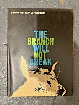The Branch Will Not Break: Poems by Wright, James 1963 First Edition