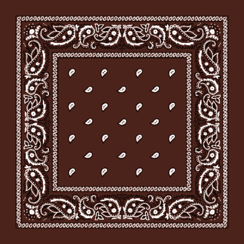 3-12 Pcs 100% Cotton Paisley Print Bandana Head Warp Scarf Headband Neck Cover - Picture 15 of 35
