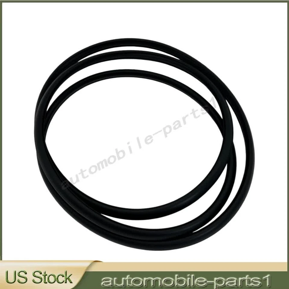 Sello de tira climática de vidrio para techo corredizo 2081-4007 apto para Buick Enclave Chevrolet GMC Foto 2 de 4