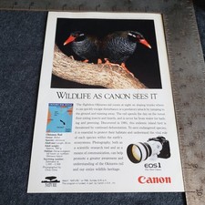 Vintage 1993 Canon EOS1 Advertisement 1990s Camera Print Ad