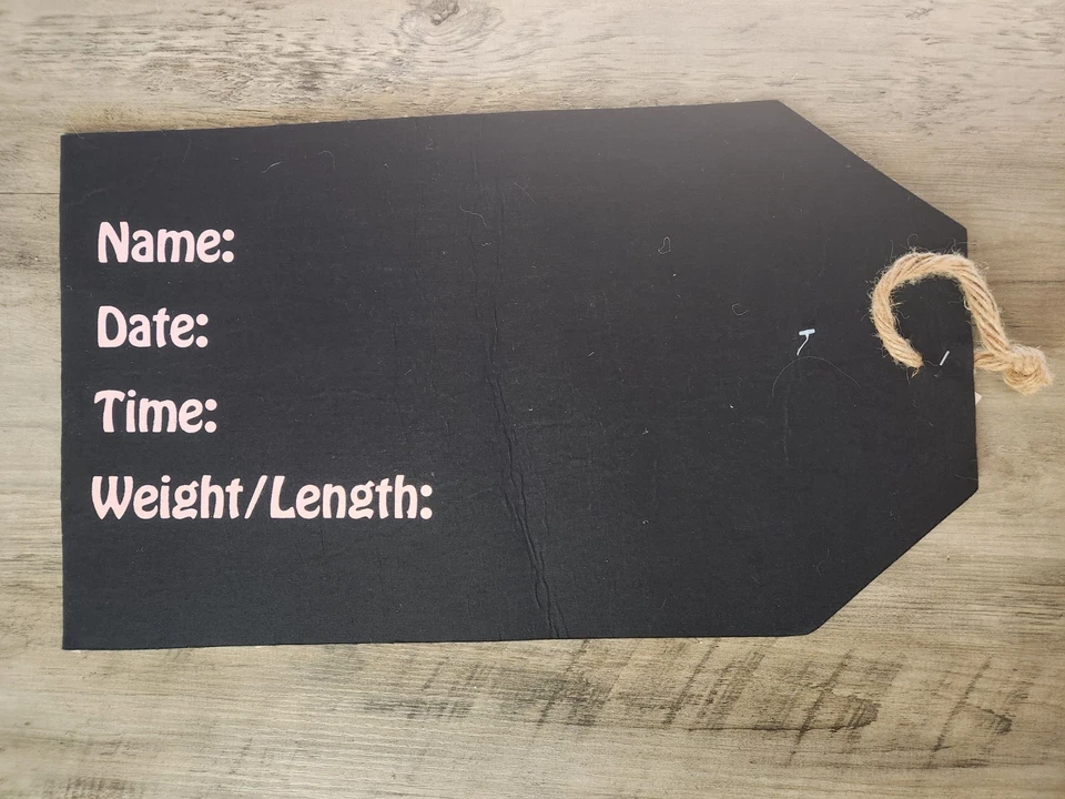 Etiqueta colgante puerta anuncio nacimiento bebé niña Mud Pie Foto 3 de 3