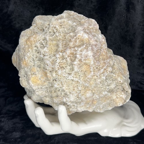 6-1/2” Large Unopened Geode Rattler Crystal Quartz Fossil Break Your Own 4.6Lb - Picture 2 of 10