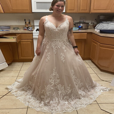 Plus Size Champagne Wedding Dresses V Neck Appliques Backless Button Bridal Gown | eBay Plus Size Champagne Wedding Dresses V Neck Appliques Backless Button Bridal Gown | eBay