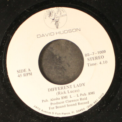 DAVID HUDSON: different lady / how can you mend a broken heart BOUND SOUND 7''