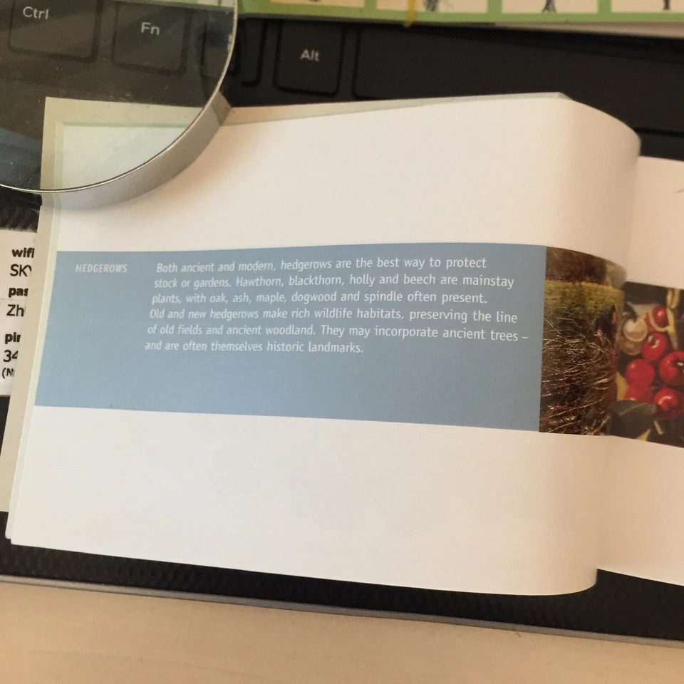 DX26 Treasury Of Trees 2000 GB PRESTIGE BOOKLETS (NO STAMPS ) LOVELY ITEM - Image 2 of 3