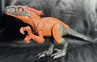 Picture 6 of 16