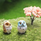 6pcs Home Decor Exposed Owl Pattern Mediterranean Style Resin Micro Landscape