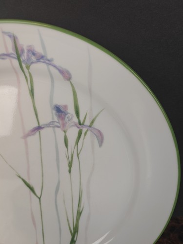 "Juego de 4 platos de cena Corning Corelle Shadow Iris 10-1/4"" borde verde redondo" - Imagen 3 de 7