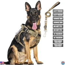Heavy-Duty Tactical Dog Harness & Leash Set for XL Dogs - No Pull, Reflective,