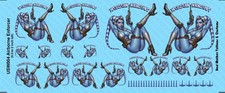 Nose Art "Airborne Enforcer" Opaque Waterslide Decals for Star Wars Vehicles