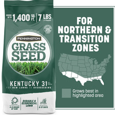 100% Kentucky 31 Tall Fescue Grass Seed, for Sun to Partial Shade, 7 Lb., 1 Bag