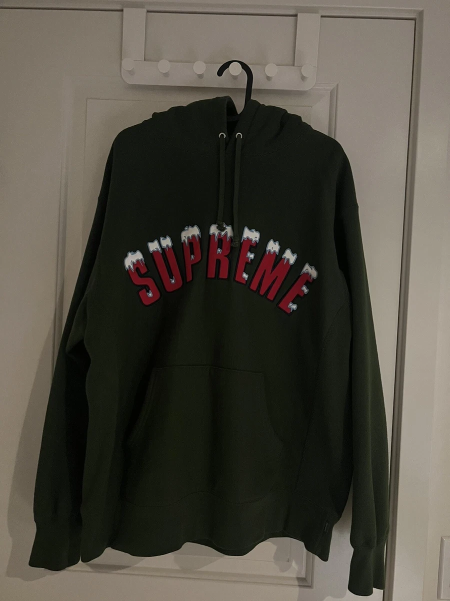 Supreme Icy Arc Hooded Sweatshirt Green FW20sw77 L Large Brand New DS Rare