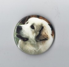 Pyrenean Mt Dog Fridge Magnet -NEW- MUST L@@K! VERY LAST ONE! Gr8 StockingFiller