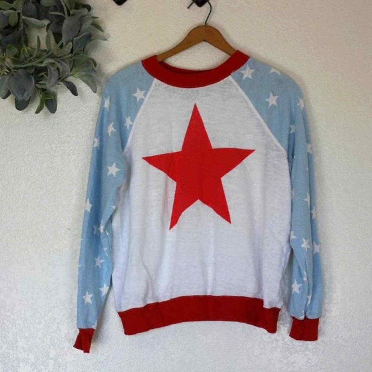 Wildfox White Label Patriotic Star Graphic Pullover