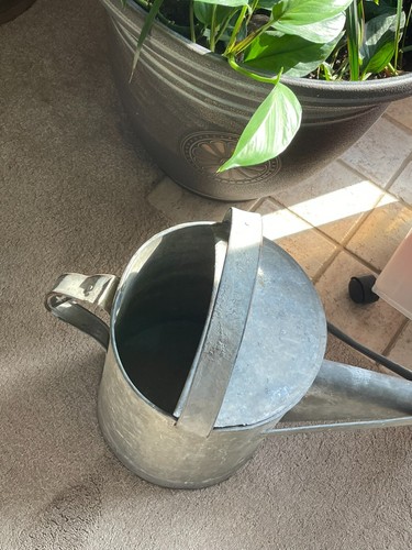 Vintage Galvanized Watering Can – Long Spout, 3 Gal, Rustic Garden Décor - Picture 6 of 7