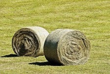 A bale of hay for our herd