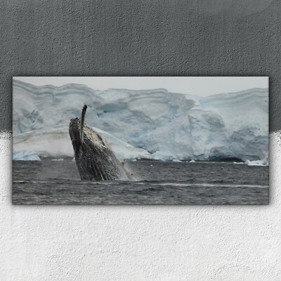 Wal im Wasser der Antarktis 100x50 Wandbilder XXL Bilder Leinwand Canvas