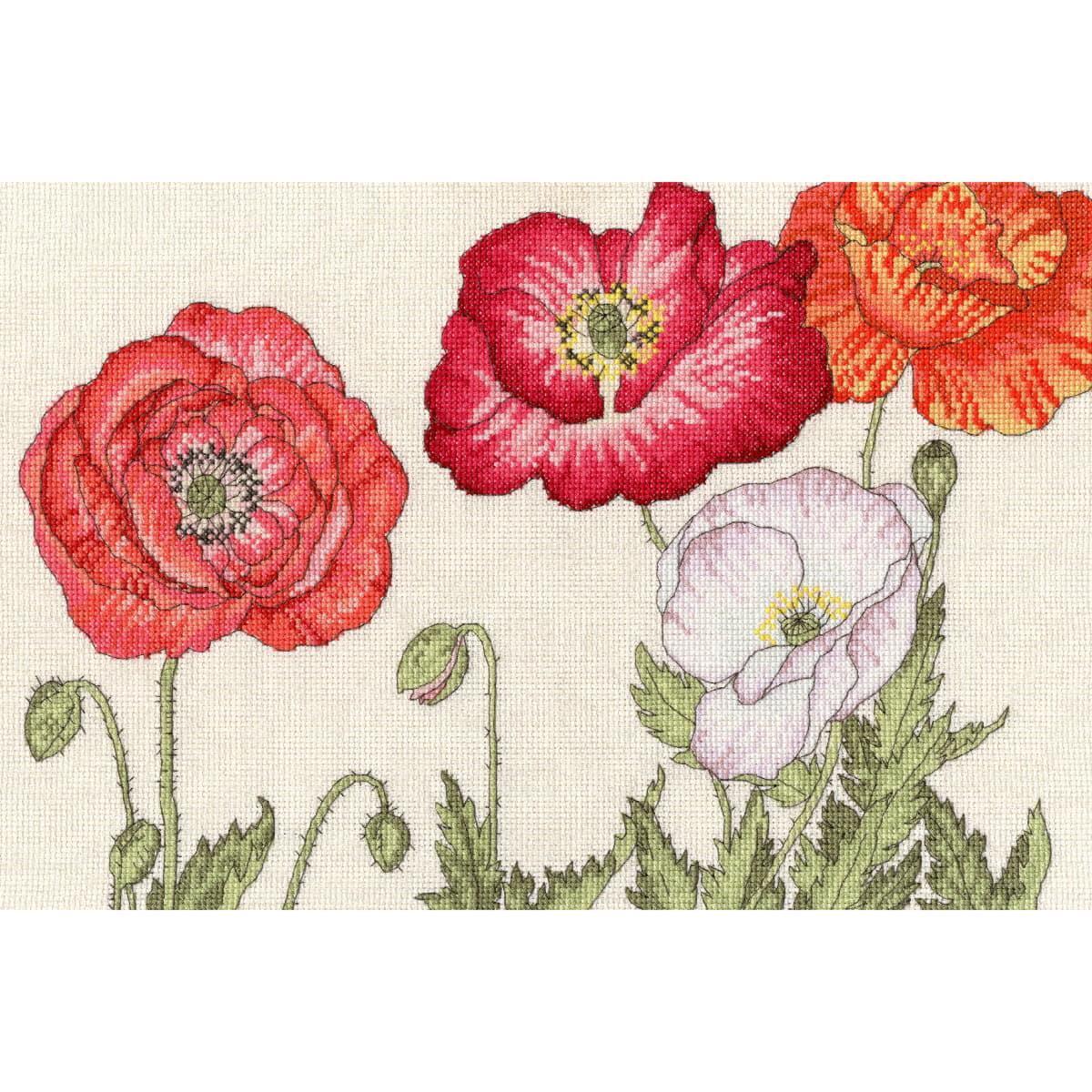 Bothy Threads counted cross stitch kit ""Poppy Blooms"", XBD15, 36x24cm, DIY