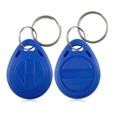 100 x RFID-Abzeichen 125 kHz Schlüsselanhänger EM4100 / TK4100 NFC Token Prox...