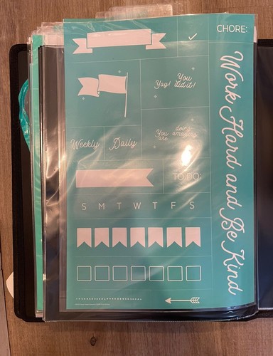 Huge Chalk Couture Transfer Lot • All Sizes In 14 X 17” Book - Picture 20 of 20