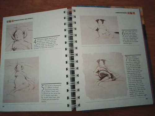 Drawing Tips & Tricks by Jeremy Galton HC 2014 Pencils Charcoals Inks Like New - Bild 12 von 14