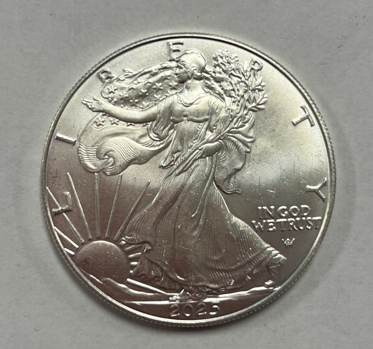 Silver 2025 American Eagle 1 oz. Fine Silver .999 US Mint Silver Eagles 1oz Coin