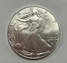 Silver 2025 American Eagle 1 oz. Fine Silver .999 US Mint Silver Eagles 1oz Coin