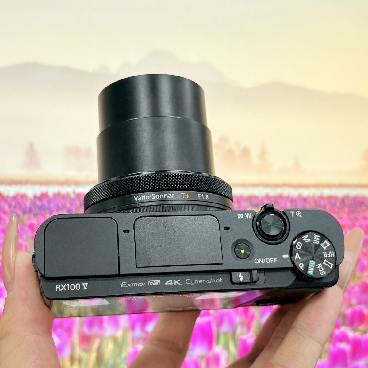 Sony Cyber-shot RX100 V RX100M5 20.1 MP Digital Camera Flip Screen