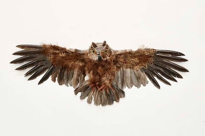 Flying Feathered Spread Wing Large 28'' Artificial Owl Halloween Prop