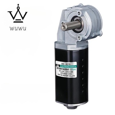 12V DC Worm Gear Reducer Motor High Torque Slow Speed Transmission Motor