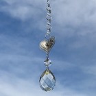 Bild 8 von 11